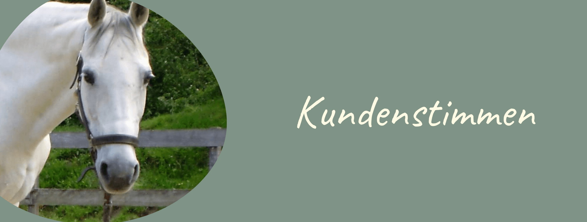 Header Kundenstimmen tiny