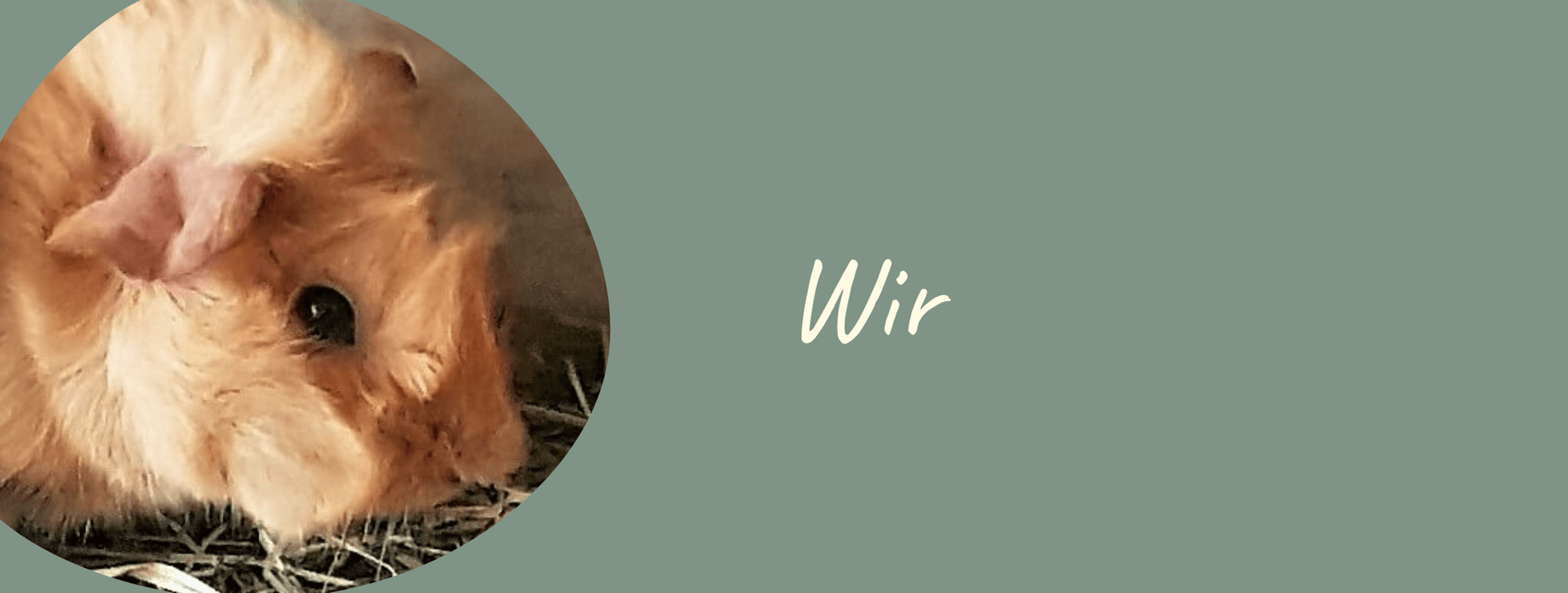 Header Wir tiny