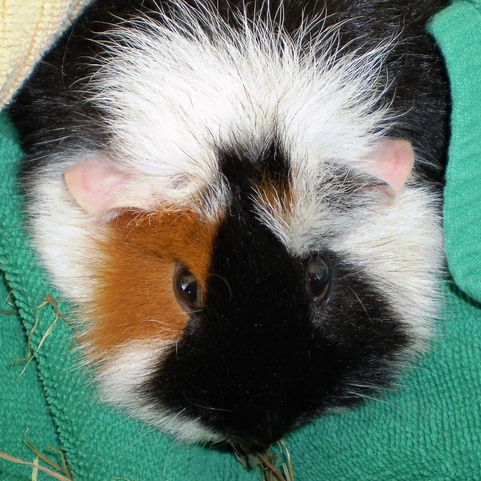 06.03.2011 Unser zweiter Tag bearb tiny