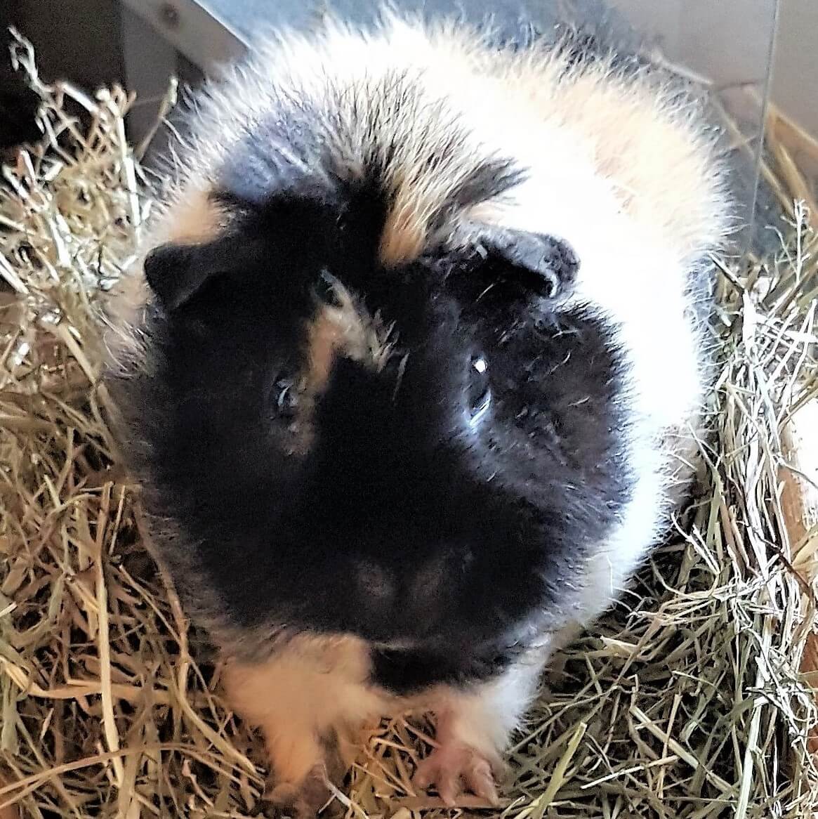 20190707 Gina bearb tiny
